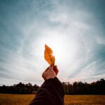 The Art of Noticing This Season