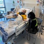 Tipper the Trauma Dog