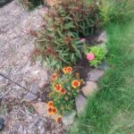 Grow a Healing Garden